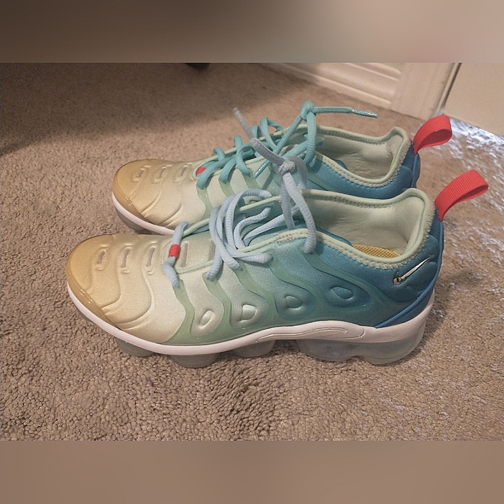 Nike Air Vapormax Plus Gradient Shoes